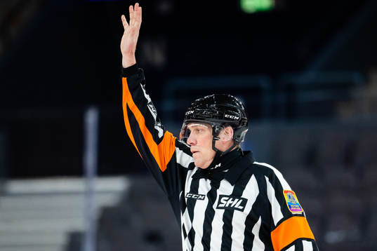 Domare Morgan Johansson