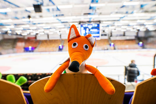 Hela Be-Ge Hockey Center är fullt med nallar och gosedjur