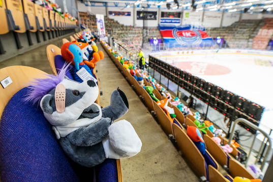 Hela Be-Ge Hockey Center är fullt med nallar och gosedjur