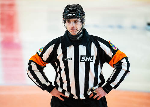 Domare Mikael Andersson