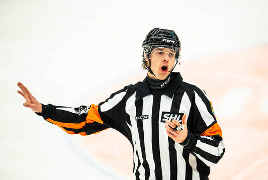 Domare Mikael Andersson