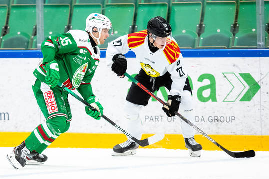 Rögles Simon Ryfors och Brynäs Alexander Ljungkrantz