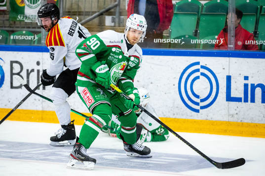 Rögles Ted Brithén