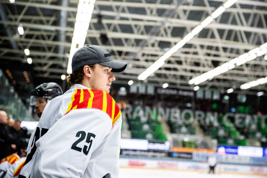 Brynäs målvakt Adam Matsson