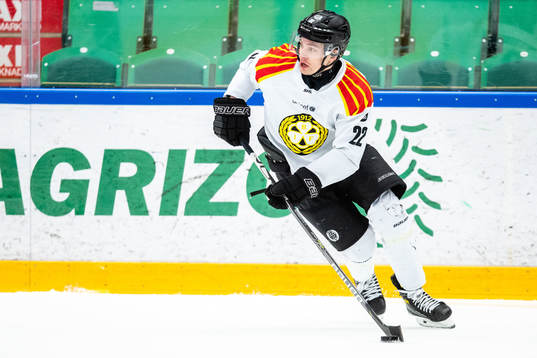 Brynäs Adam Pettersson