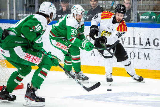 Rögles Niklas Hansson och Brynäs Oula Palve