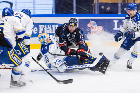Linköpings Andrew Gordon och Leksands målvakt Janne