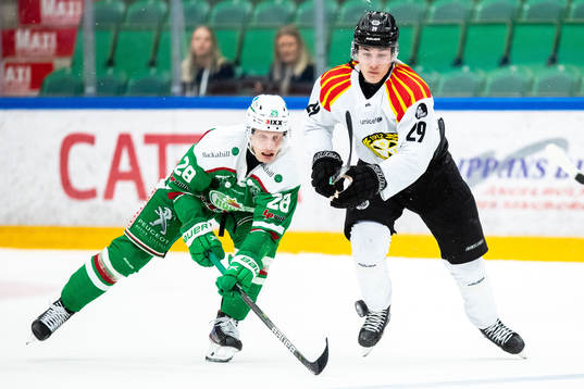 Rögles Anton Bengtsson och Brynäs Oscar Birgersson