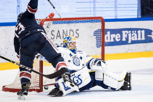 Linköpings Andrew Gordon och Leksands målvakt Janne