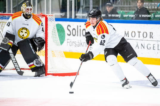 Brynäs Tom Hedberg