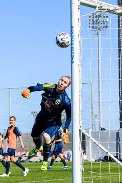 Goalkeeper Hedvig Lindahl