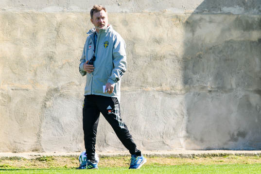 Peter Gerhardsson, Head coach