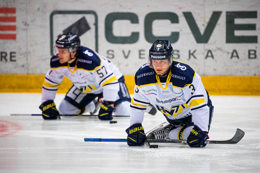 s Daniel Bertov