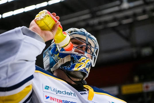 s målvakt Hugo Alnefelt
