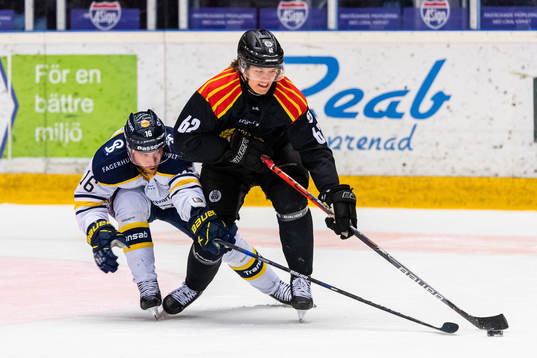 s Filip Sandberg och Brynäs Tom Hedberg