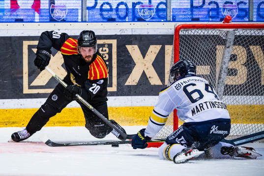 Brynäs Oula Palve