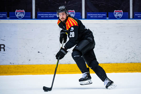 Brynäs Oula Palve
