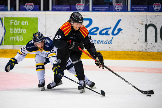 s Filip Sandberg och Brynäs Tom Hedberg