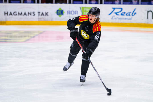 Brynäs Tom Hedberg
