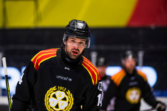 Brynäs Johan Alcén