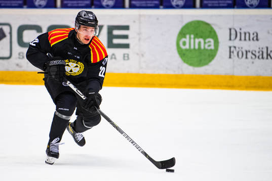 Brynäs Adam Pettersson