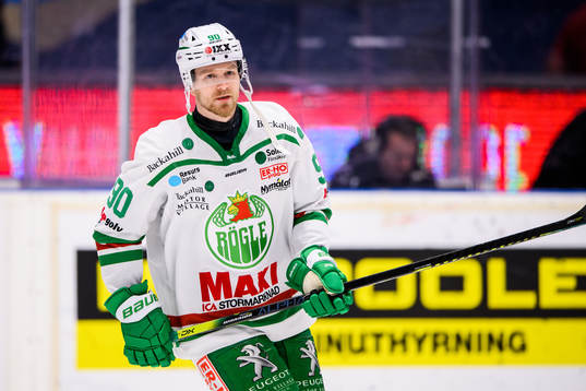 Rögles Ted Brithén