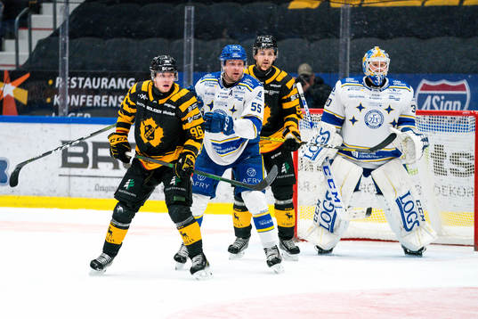 Skellefteås Rickard Hugg och Leksands Jonas Ahnelöv