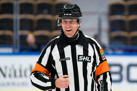 Domare Sören Persson