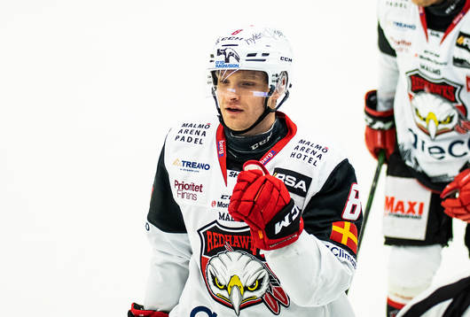 Malmö Redhawks Johan Olofsson jublar