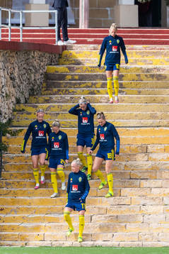 Players of Sweden