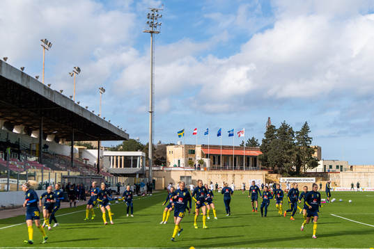 Players of Sweden