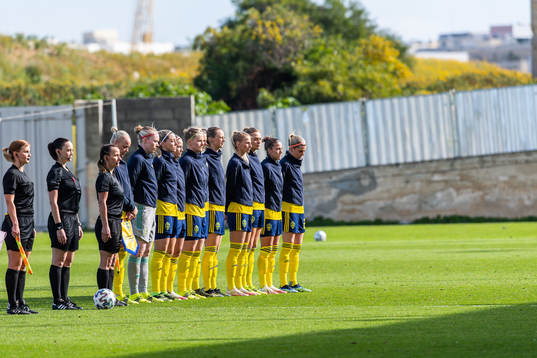 Players of Sweden