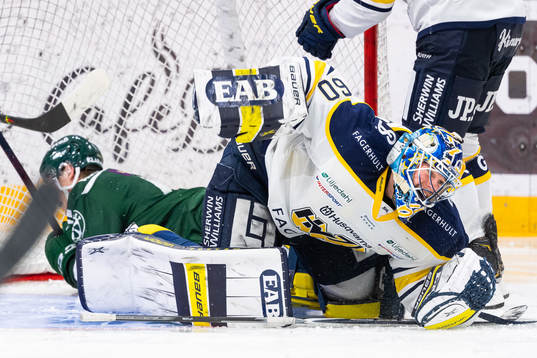 s målvakt Hugo Alnefelt