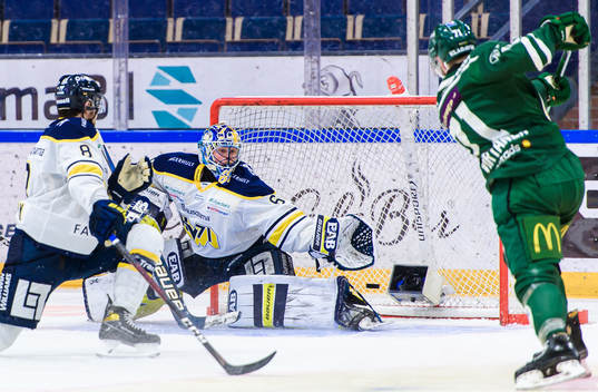 s målvakt Hugo Alnefelt
