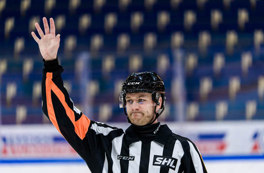 Domare Daniel Eriksson
