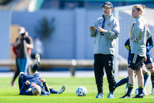 Peter Gerhardsson, Head coach