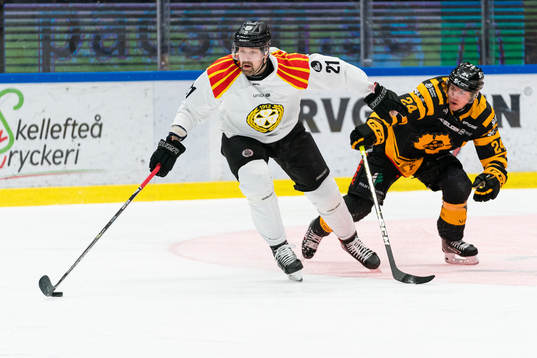 Brynäs Patrik Berglund och Skellefteås Andreas Wingerli