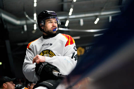 Brynäs Johan Alcén