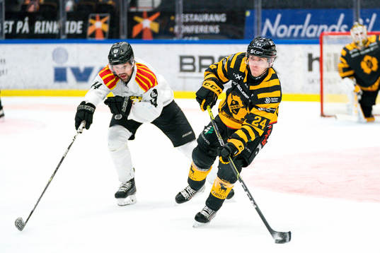 Skellefteås Andreas Wingerli och Brynäs Johan Alcén