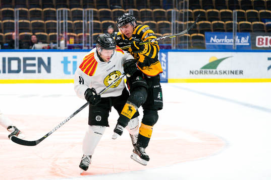 Brynäs Greg Scott och Skellefteås Andreas Wingerli