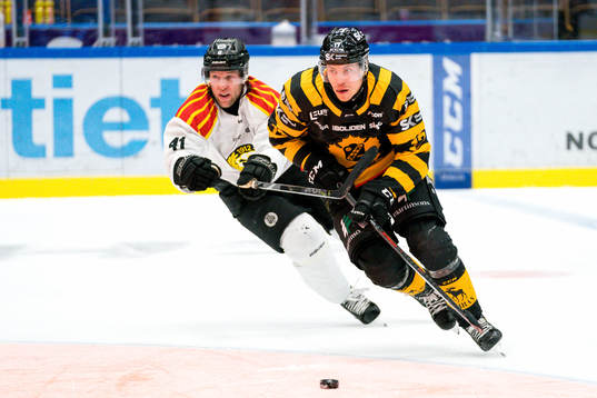 Skellefteås Pär Lindholm och Brynäs Greg Scott
