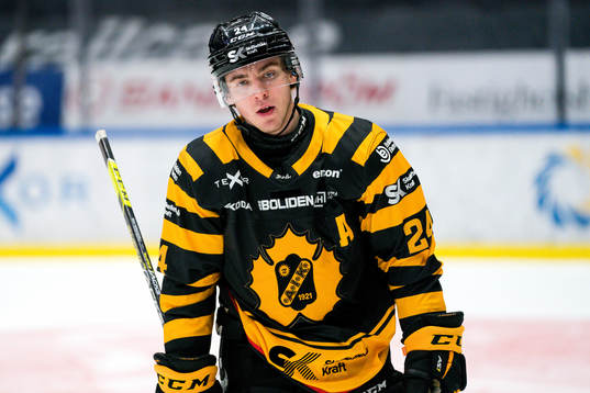 Skellefteås Andreas Wingerli