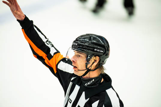 Domare Mikael Andersson