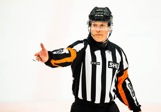 Domare Tobias Björk