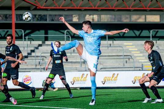 Malmö FFs Anel Ahmedhodzic