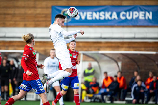 Helsingborgs Vladislav Kreida