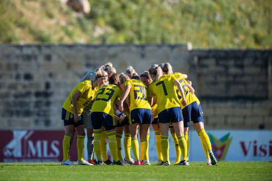 Players of Sweden