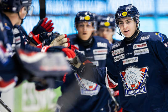 Linköpings Daniel Ljungman jublar