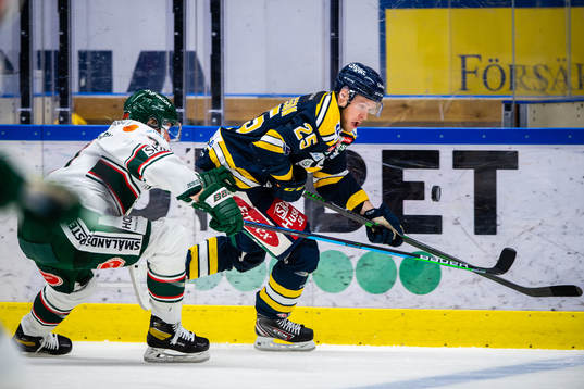 Tingsryds Ludvig Claesson och Södertäljes Christopher