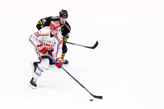 Timrås Patrick Wiercloch